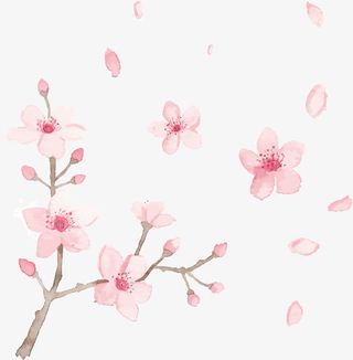 飞舞的花瓣PNG下载免抠