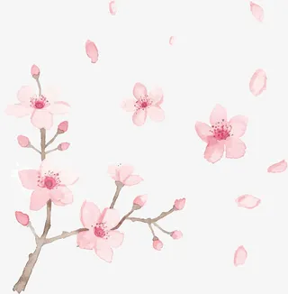 飞舞的花瓣PNG下载免抠