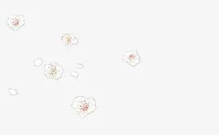 桃花花瓣漂浮免抠