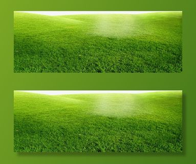 绿色辽阔草地背景免抠