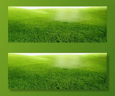 绿色辽阔草地背景免抠 绿色辽阔草地背景免抠