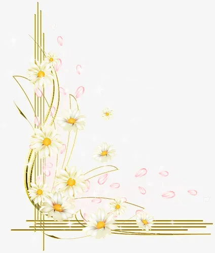 菊花边框免抠素材免抠