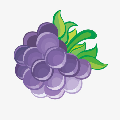水果葡萄手绘提子免抠