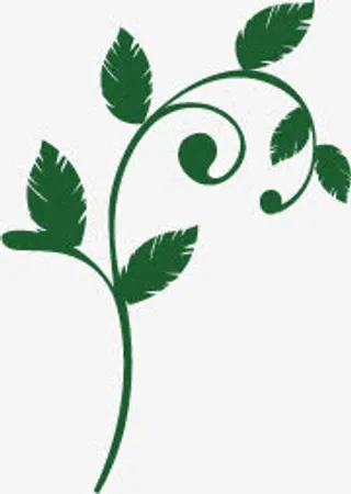 欧式花纹边框免抠