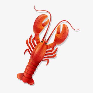 红色龙虾免抠