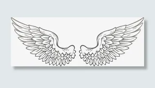 矢量飞翔的翅膀免抠