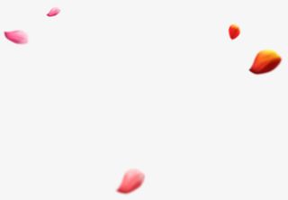 彩色美丽飘散花瓣免抠