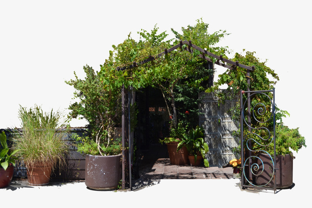 绿树成荫的门口免抠