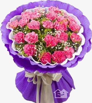 康乃馨花瓣花朵免抠