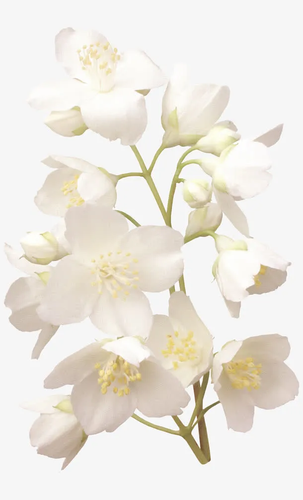 花免抠