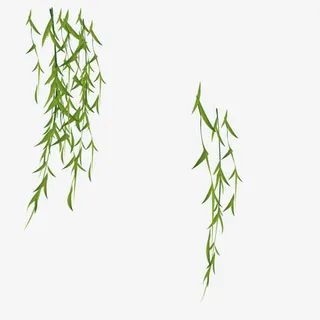 绿色植物树叶柳树免抠