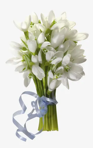 白色捧花素材免抠