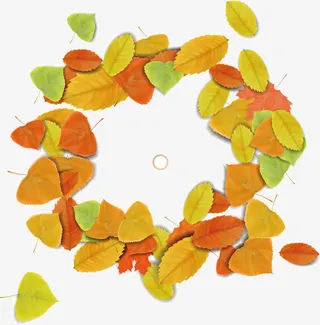秋季树叶素材免抠
