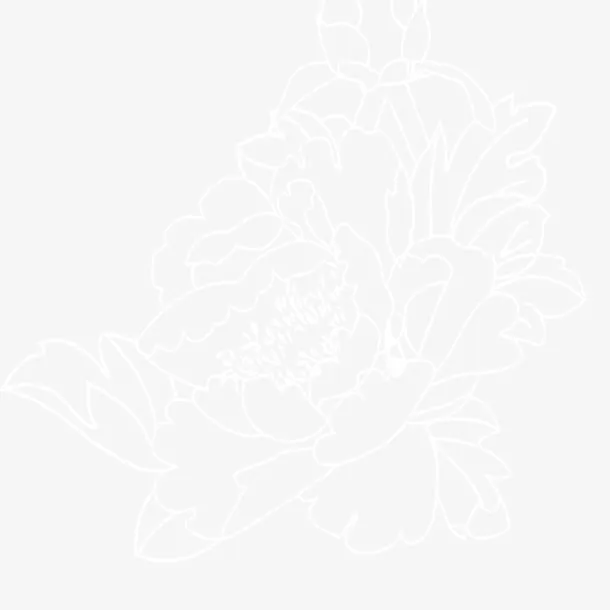 荷花线条免抠