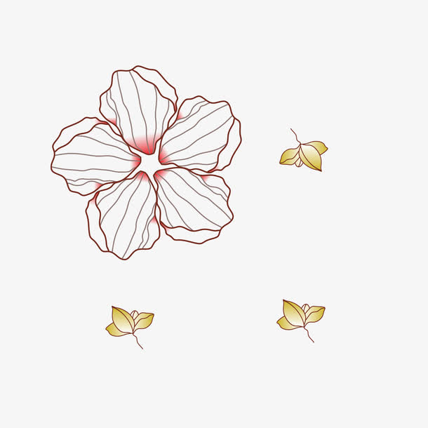 五叶花朵免抠