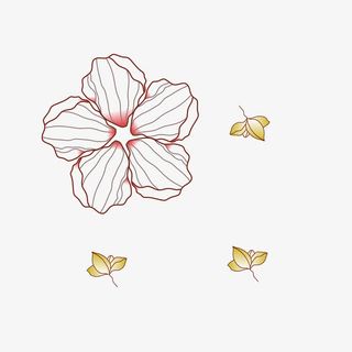 五叶花朵免抠