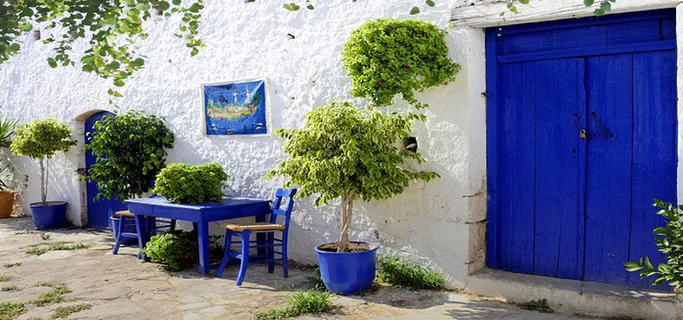 文艺小清新白墙绿植背景高清