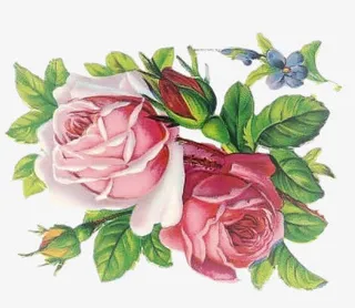 手绘素材卡通花图片 玫瑰花免抠