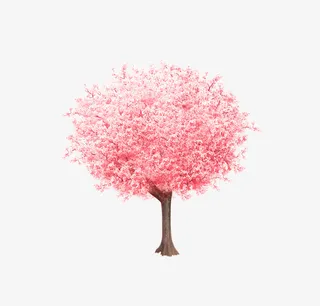 樱花树PNG下载免抠手绘/卡通手绘元素