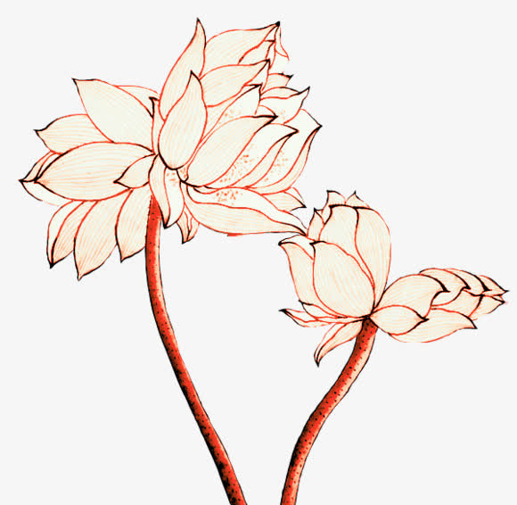 手绘花瓣免抠