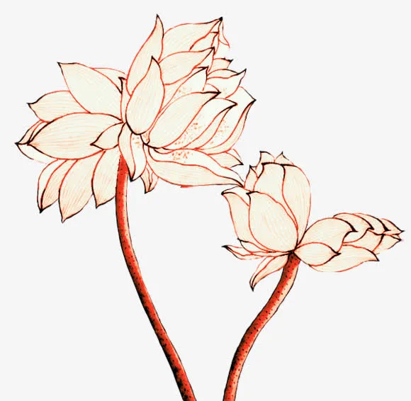 手绘花瓣免抠