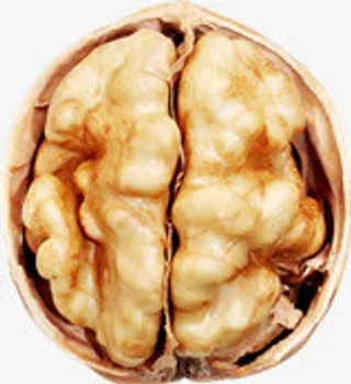高清核桃坚果食物营养免抠