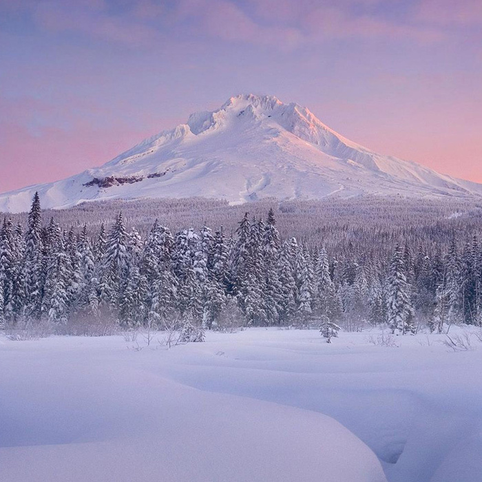 冰山雪地丛林背景高清