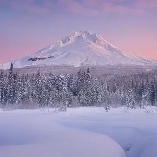 冰山雪地丛林背景高清