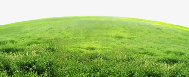 草原免抠
