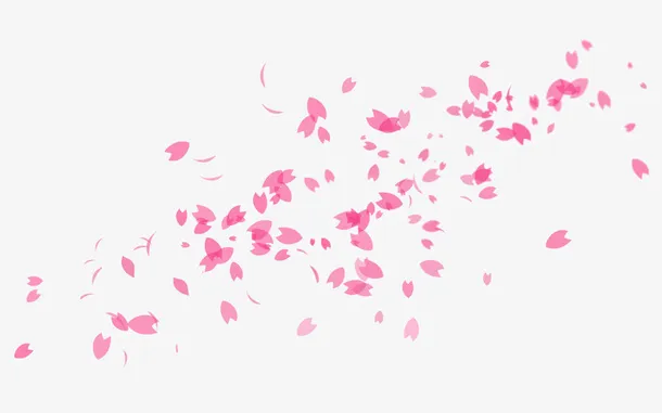 花瓣飘落素材01免抠