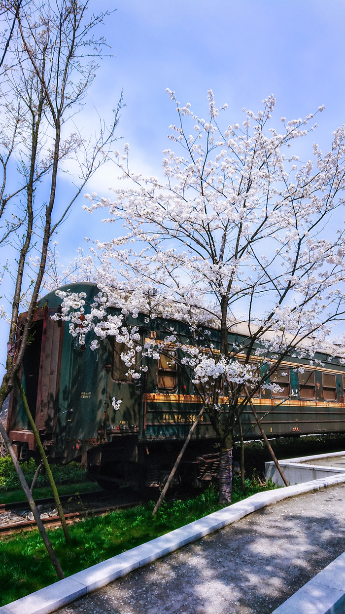 春季火车风景高清