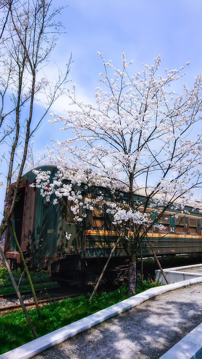春季火车风景高清