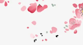 唯美粉红色花瓣漂浮免抠