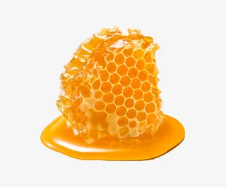 巢蜜（1167x1200）免抠