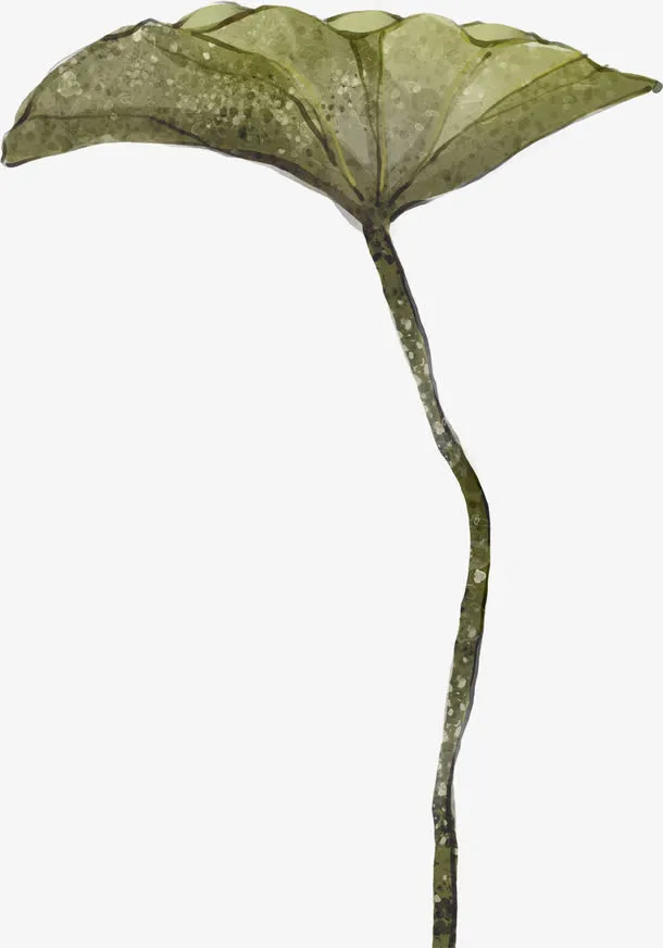 夏日手绘荷叶中式免抠