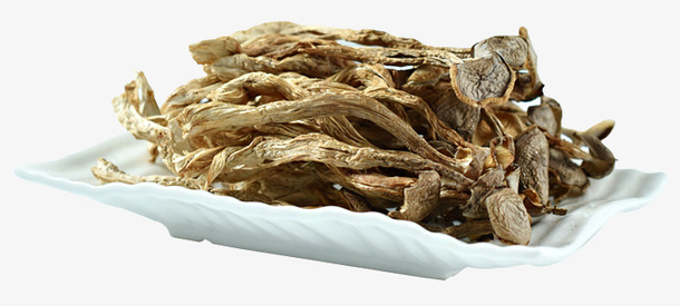 鹿茸菇传统滋补免抠