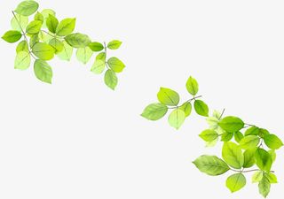 春天手绘漫画植物树枝免抠