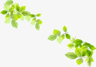 春天手绘漫画植物树枝免抠