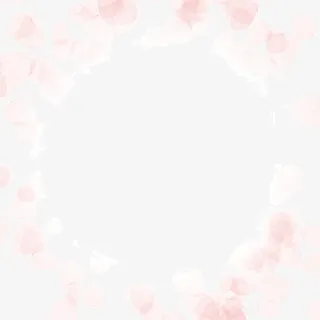 梦幻粉红花瓣边框免抠