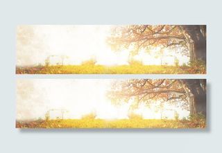 淘宝 天猫 通用海报背景banner