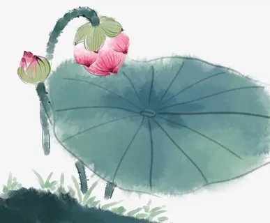 国画水墨晕染写意画风荷花荷叶免抠