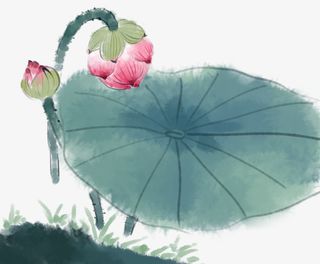 国画水墨晕染写意画风荷花荷叶免抠