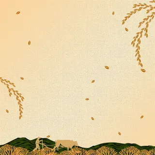 简洁创意杂粮淘宝主图高清