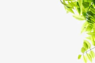 春天阳光清新植物免抠