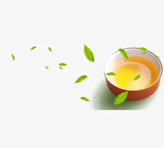 铁观音茶叶免抠