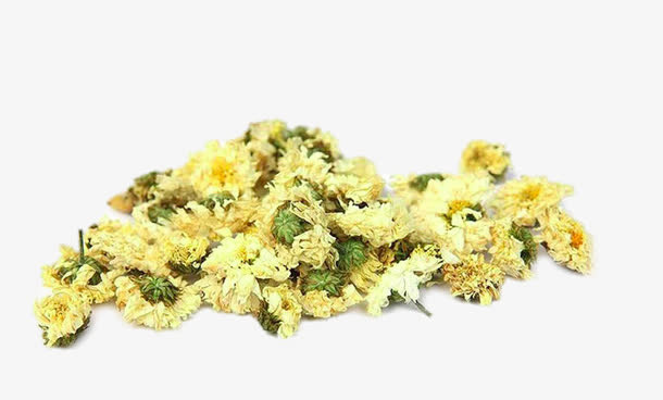 堆积的贡菊花免抠
