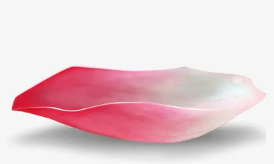 一朵落地粉色花瓣免抠