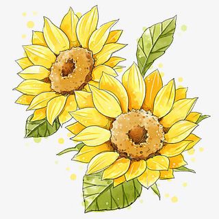 卡通黄色菊花叶免抠