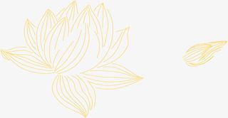 金色荷花线条手绘中秋免抠