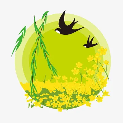 春分燕子油菜花免抠
